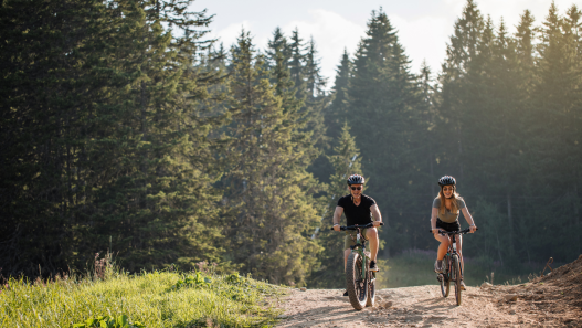 MTB for Beginners