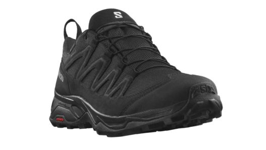 Salomon X Ward Hiking Shoes Review