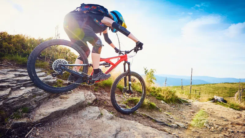 Coed y Brenin MTB Trails