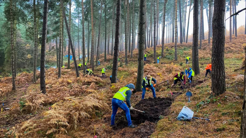 Cannock Chase MTB Trails