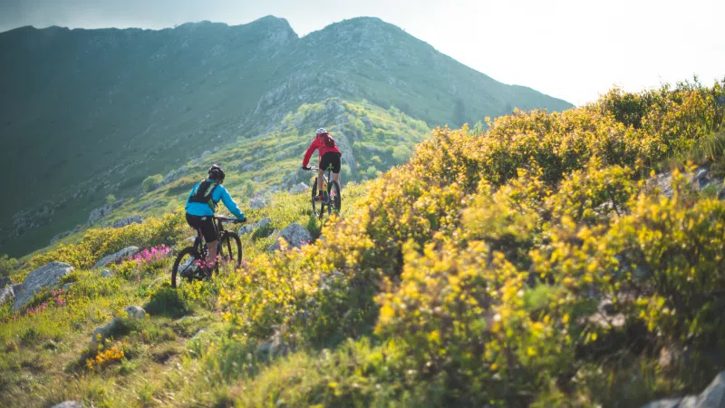 e-mountain bikes
