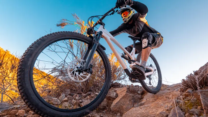 Coed y Brenin MTB Trails