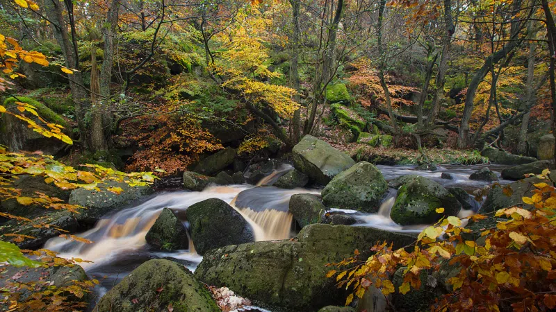 Best Walks in the Peak District