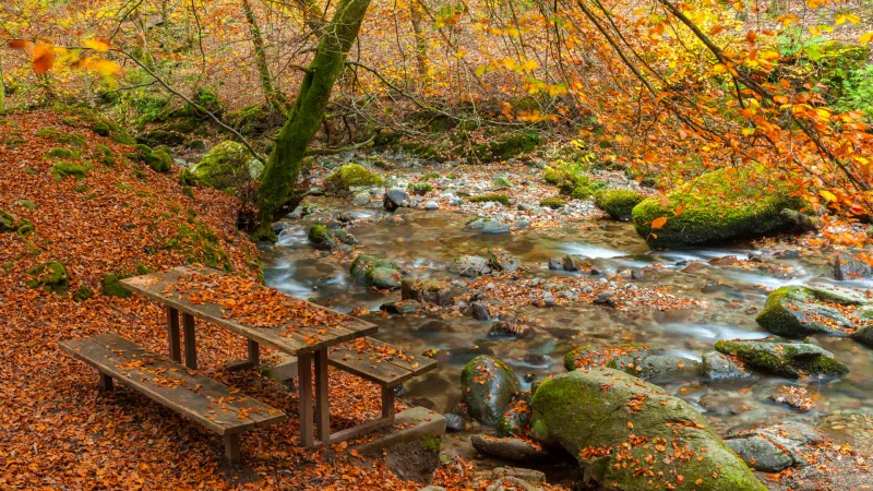 Stock ghyll
