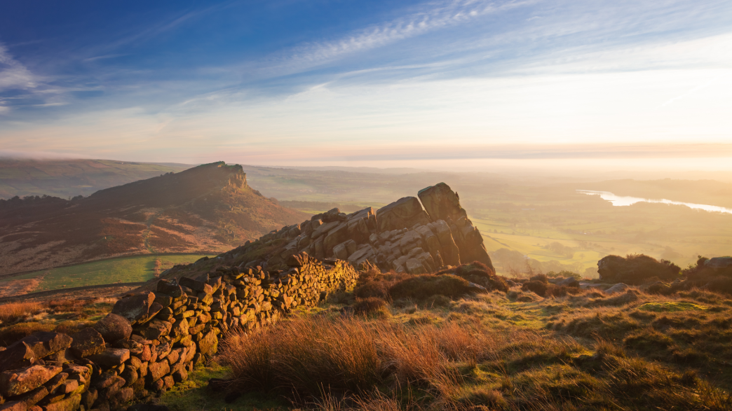 The Roaches