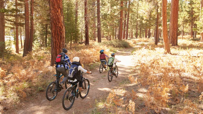 Sherwood Pines MTB Trails