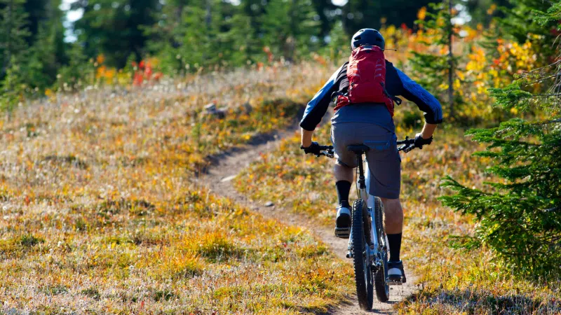 Sherwood Mountain Biking