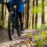 Sherwood Pines MTB Trails