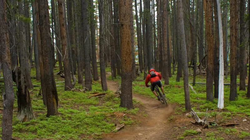 Outlaw MTB Trail at Sherwood Pines
