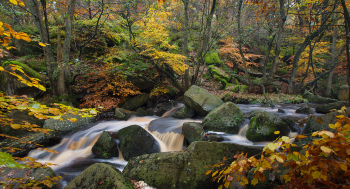 Padley Gorge Walk