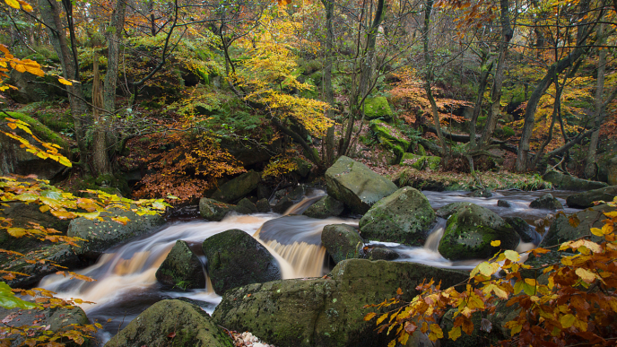 Padley Gorge Walk