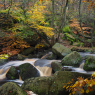 Padley Gorge Walk