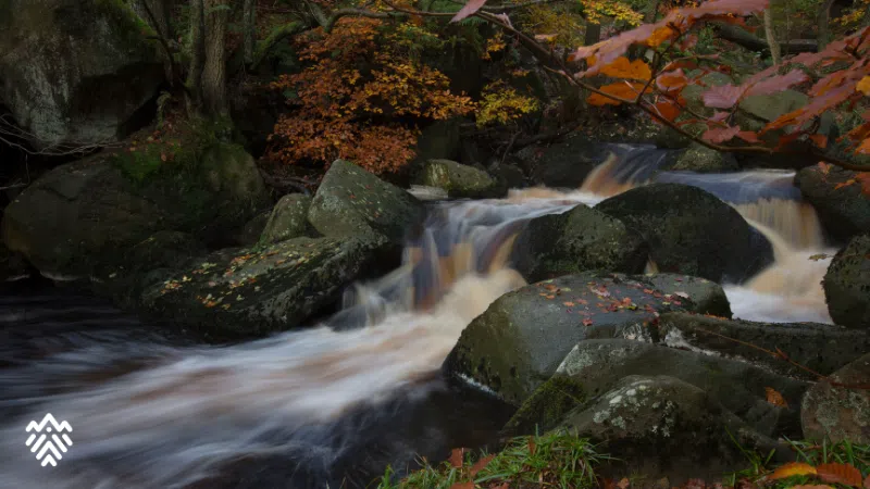 Padley Gorge