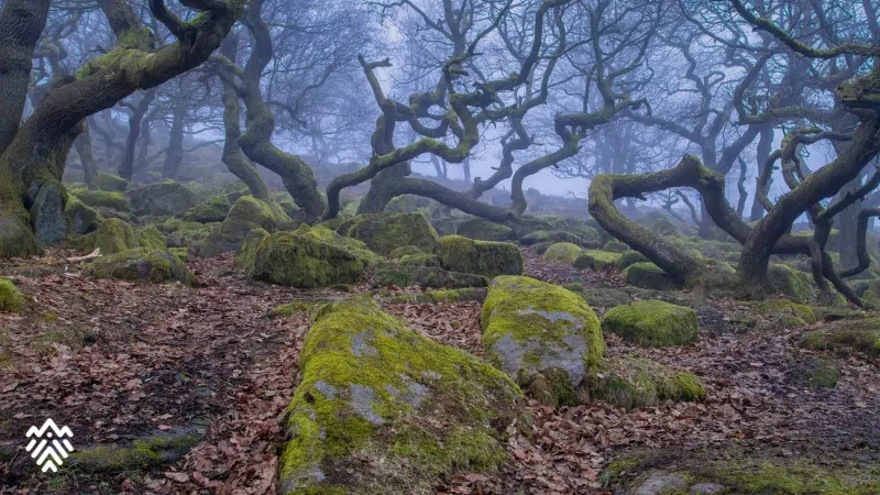 Padley Gorge Winter